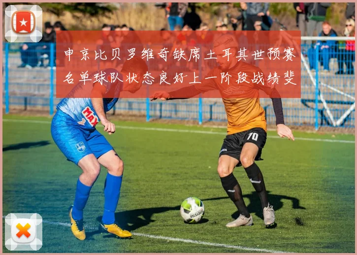 申京比贝罗维奇缺席土耳其世预赛名单球队状态良好上一阶段战绩斐然
